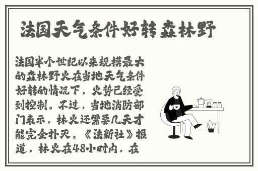 午夜精品小视频网站在线观看
