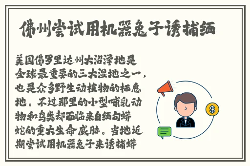 国产卡一卡二无线乱码